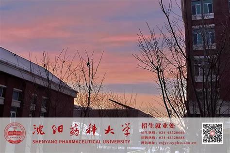 沈阳药科大学2023年本科招生指南 沈阳药科大学 本科招生网