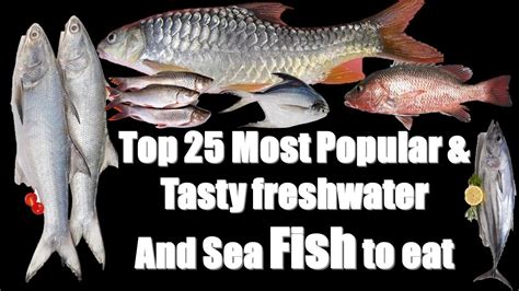 25 Most Popular And Tasty Fish To Eat In India Youtube