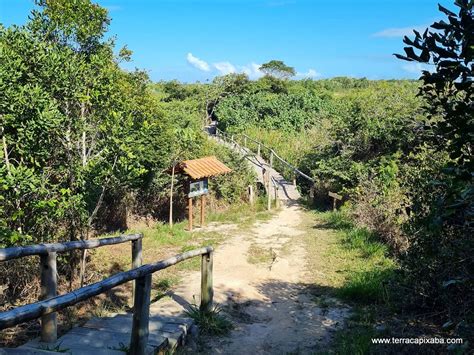 Trilhas Para Fazer No Feriado De Finados Terra Capixaba