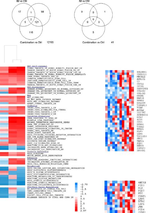 Microarray Assay Of Gene Expression In CML CD34 1 Cells Cocultured With