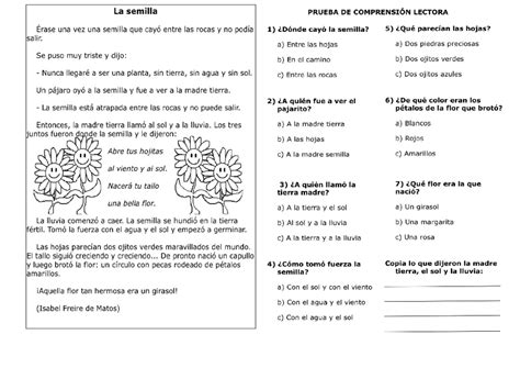 Ejercicios De Comprension Lectora La Semilla Prueba De Comprensi N