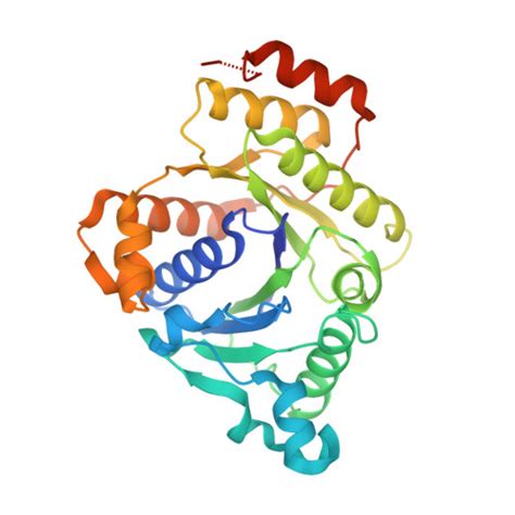 Rcsb Pdb Tqc Selenium Incorporated Nitrogenase Fe Protein Av Se