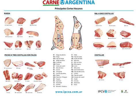 Los Cortes Vacunos Uno Por Uno Supercampo