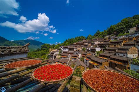 篁岭晒秋，屋顶上的古村美景古村竹匾婺源篁岭新浪新闻