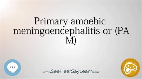 Primary Amoebic Meningoencephalitis Or Pam 🔊 Youtube