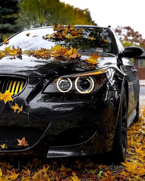 Autumn Bmw K Wallpaper