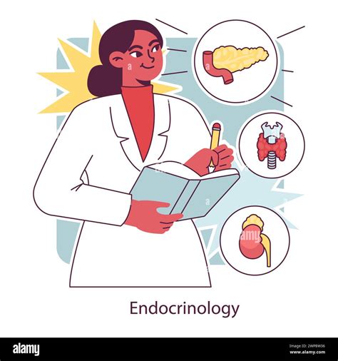 Endocrinology Endocrine System Organs Pancreas Thyroid Gland