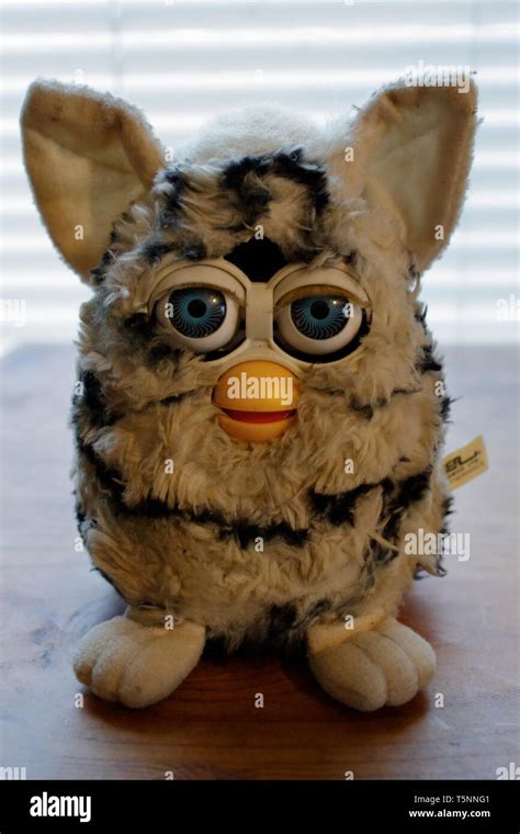 1998 Furby Tiger Electronics Toys Stock Photo Alamy