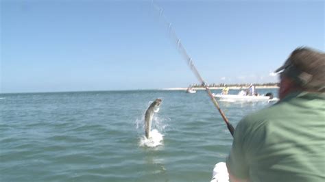 Bow To The King Tarpon Fishing Boca Grande YouTube