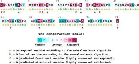 Evolutionary conservation of amino acid positions in M. fortuitum ... 