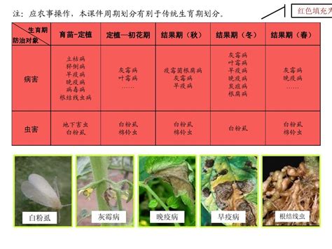 番茄病虫害防治 Word文档在线阅读与下载无忧文档