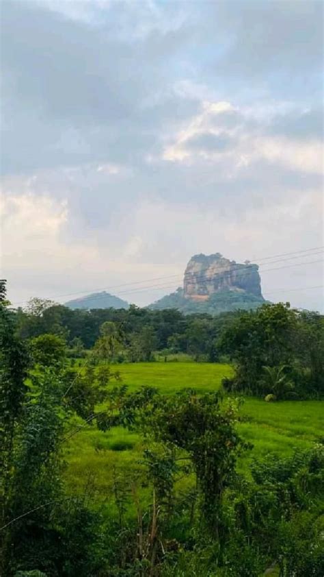 Sigiriya Forest | Travel, Forest, Sri lanka