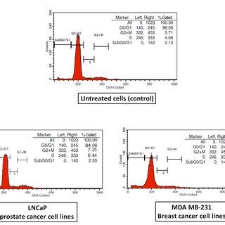 The Levels Of Caspase 3 And Caspase 9 In Treated Cancer Cells With