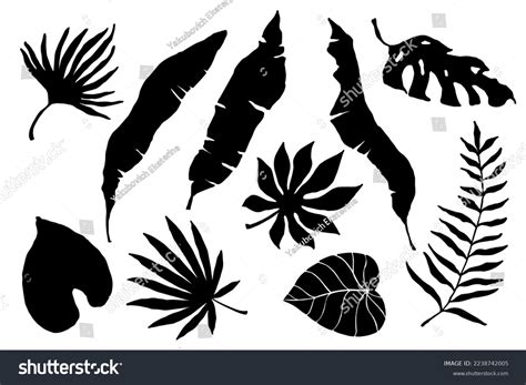 Set Silhouettes Tropical Leaves Vector Graphics Stock Vector Royalty