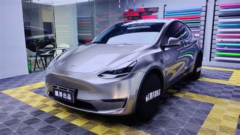 Model Y Bilibili