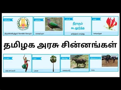 STD - 4 / TERM - 1 / தமிழக அரசு சின்னங்கள் | @KUTTIES TAMIL BEATS - YouTube
