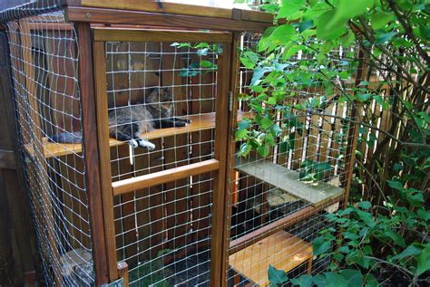 Best 25 Diy Cat Enclosure Plans – Home, Family, Style and Art Ideas