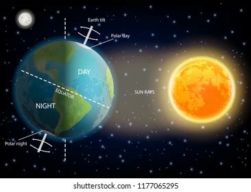 24 Hours Day Night Cycle Diagram Stock Vector (Royalty Free) 1177065295 ...