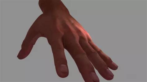 Realistic Human Hand Free 3d Model - .3ds, .Dae, .Fbx, .Obj - Open3dModel