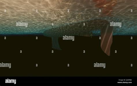 Underwater visuals hi-res stock photography and images - Alamy