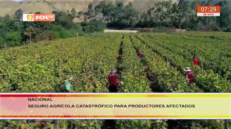 Nacional Seguro Agr Cola Catastr Fico Para Productores Afectados