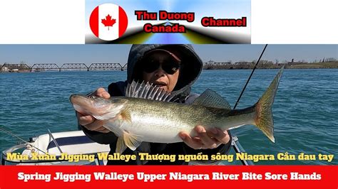 Spring Jigging Walleye Upper Niagara River Bite Sore Hands Thu Duong