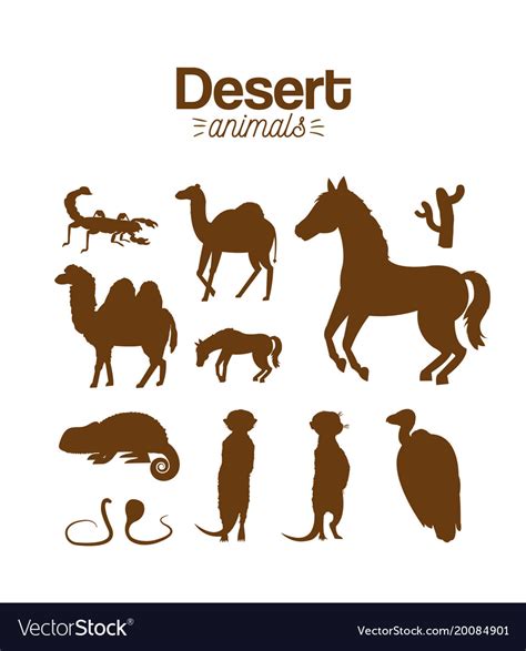 Desert Animals Drawings