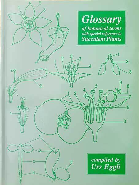 Glossary of Botanical Terms compiled by Urs Eggli :British Cactus and Succulent Society