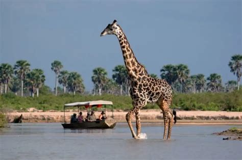 Selous Game Reserve Safaris | Tanzania Horizon Safaris