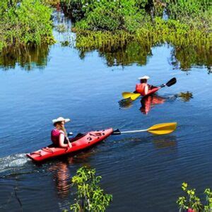 Kayaking in the Homosassa Springs: A Wildlife Adventure – TravelMagma