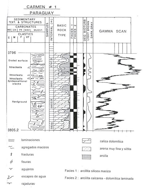 6 1 Análisis de facies sedimentarias de la sección generadora de la