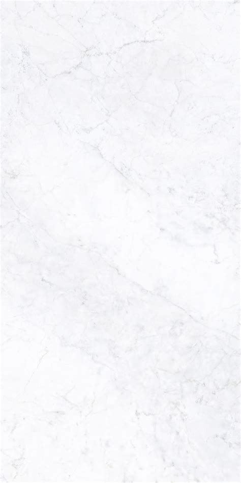 Delicato Bianco Natural 是一种白色的意大利瓷砖 White tile texture Marble