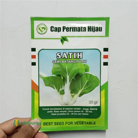 Jual Benih Bibit Biji Sawi Batang Putih Satih Gr Sayur Sayuran