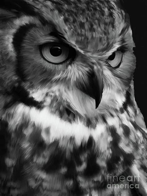 Black and White Owl Painting Painting by Gull G