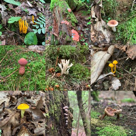 Best Appalachian Images On Pholder Earth Porn Hiking And Campingand Hiking