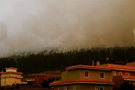 España Ya Son Más De 26 000 Las Personas Evacuadas En Tenerife Por Los