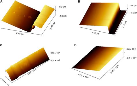 Frontiers Research On Micronano Surface Flatness Evaluation Method