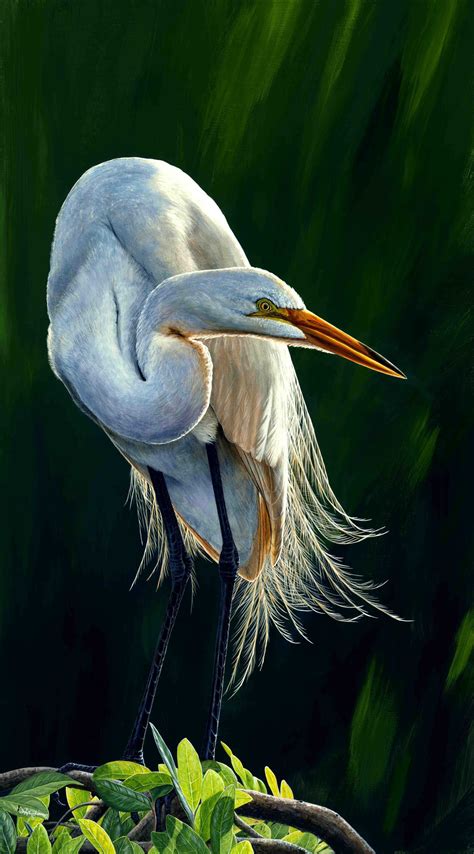 Great Egret II Painting - White Feathers and Light Artwork