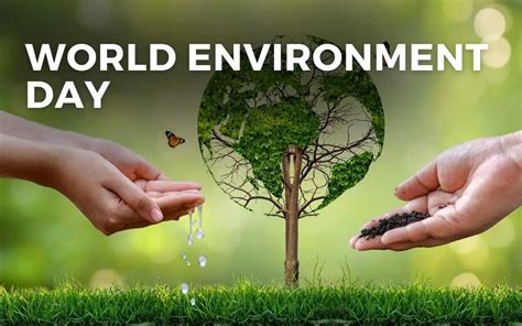 World Environment Day June 5 2024 Angie Gensler