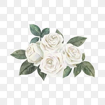 Best White Rose Watercolor Wedding PNG Images With Transparent Background