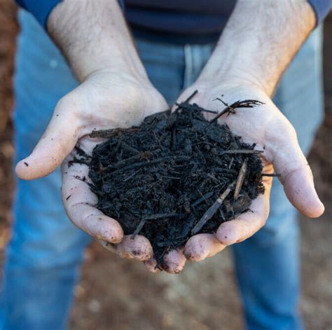 Jeffries Recover Mulch Crafers Garden Centre Landscape Yard