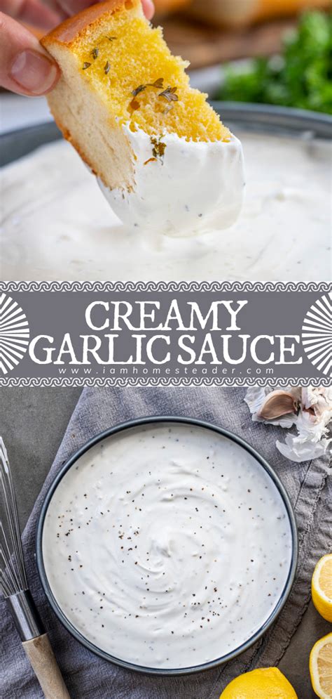 Garlic Dip Recipe With Mayo And Sour Cream