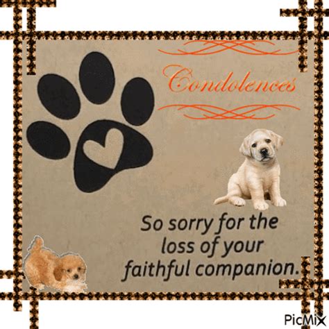 Pet Condolences Dog Lovers GIF - Pet condolences Dog lovers - Discover ...