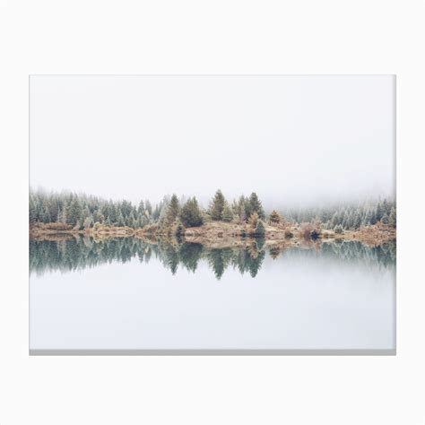 Forest Lake Reflection Canvas Print by Willow Home & Co - Fy