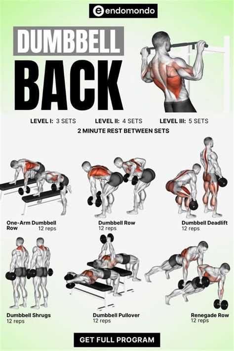 Strengthen Your Back: Dumbbell Back Workout for Definition | Dumbbell ...