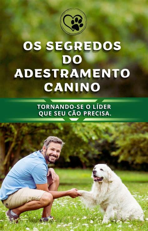 OS SEGREDOS DO ADESTRAMENTO CANINO TORNANDO SE O LÍDER QUE SEU CÃO