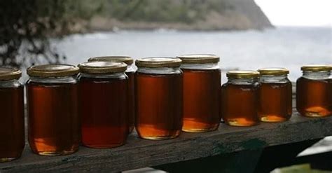 Melipona Honey The Mayan Elixir - Honey Melipona