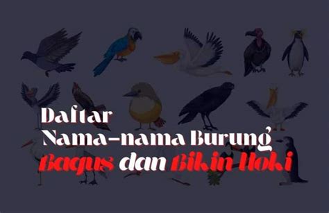 Nama Burung Yang Bagus Dan Hoki Untuk Piaraan Lengkap Artinya