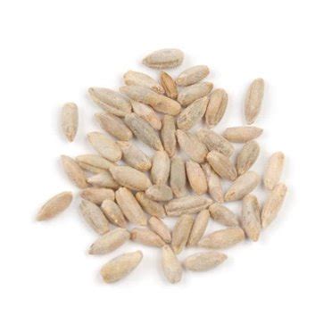 Organic Rye Grain Seeds - 5 Lb Re-Sealable Can - Rye Seed / Grains for Flour, Bread, Sprouting ...