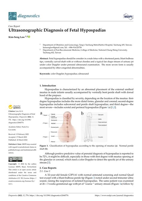 Pdf Ultrasonographic Diagnosis Of Fetal Hypospadias